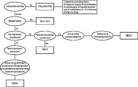 Hrg4 Classification Flow Chart For Inpatients Sources Code
