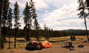 Can you camp in yellowstone. Norris Campground Yellowstone Camping Alltrips