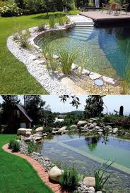 Pools Pooldesign Pools Wateringholes Swimming Natural Swimming Pools Backyard Pool Swimming Pool Designs