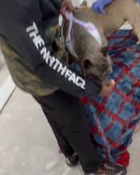 Big 🧊 for the win