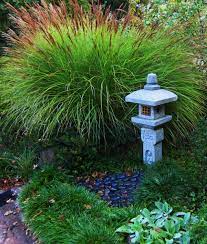 miscanthus serves as a backdrop to a japanese lantern 2 ways to enlarge click directly on the photo to jardin asiatique jardin de meditation jardin japonais
