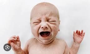 Stella wants to participate in the #panophotochallenge