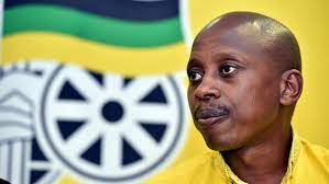 Andile lungisa (born 21 december 1979 in tsomo, chris hani district municipality in the eastern cape) is a south african politician and the former deputy president of the african national congress youth league (ancyl). Jid4s4afzgkvrm