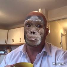 Phil Milburn (@milburn_phil)