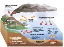 Ikan hias air tawar laut dan aquarium. Kenapa Air Laut Masin Some Bullet For Your Head