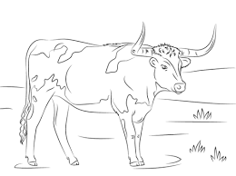 Animal design template elements for your corporate identity or sport team branding. How To Draw A Ox Realistic Novocom Top
