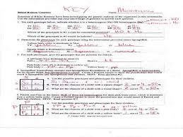 For each genotype below, indicate whether it is a heterozygous (he) or homozygous (ho). Spongebob Incomplete Dominance Problems Worksheet Answers Codominance Incomplete Dominance Worksheet Answers
