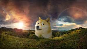 Doge wallpaper 1920x1080 / original resolution: Doge Wallpapers Top Free Doge Backgrounds Wallpaperaccess