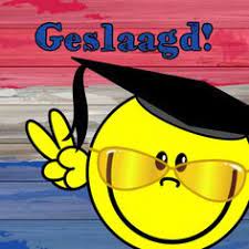 48 Ideeen Over Examens En Geslaagd Succes Examen Citaten Teksten