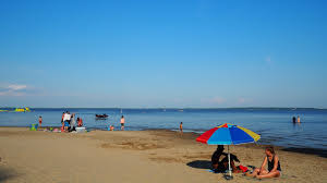 Photo prise au parc national d'oka à la plage naturiste, le viel arbre et la mer. Un Week End De Plein Air A Oka