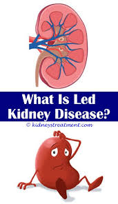 Kidney Cleanse For Diabetics Treatment For Kidney Disease Kidney Disease Polycystic Kidney Disease