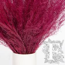 Image result for Agrostis products