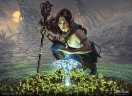 The Dnd 5E Druid Guide (2022) | Arcane Eye