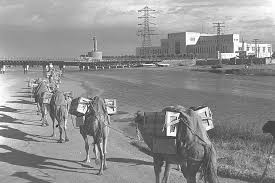 Electric horse by electric e.e.l., released 22 september 2017 ~1991~ i thought i'd forgotten, i thought i'd moved on. File A Convoy Of Camels Passing An Electric Power Plant In Tel Aviv ×©×™×™×¨×ª ×'×ž×œ×™× ×¢×•×'×¨×ª ×ª×—× ×ª ×›×— ×'×ª×œ ××'×™×' D30 098 Jpg Wikimedia Commons