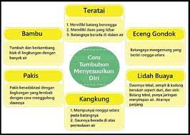 Simak, kunci jawaban buku tematik terpadu kurikulum 2013 edisi revisi 2018 kelas 6 sd tema 2 subtema 1 pembelajaran 3, halaman 20, 21, 24 dan 25. Kunci Jawaban Tematik Tema 2 Kelas 6 Halaman 18 20 21 24 Pembelajaran 3 Subtema 1 Rukun Dalam Perbedaan