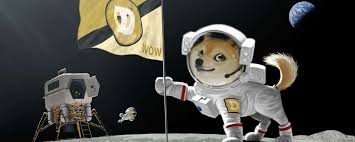 Maar het verhaal begon in 2013, net na de lancering van doge, steeg ook de doge koers. Wat Is Dogecoin Doge Waar Kan Ik Dogecoin Kopen Xdg Beste Bank Kennisbank