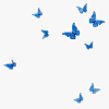 193 png, butterflies on transparent background. 1