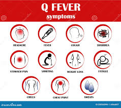 Image result for Q Fever