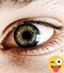 Pin On Prate Family Eye Care