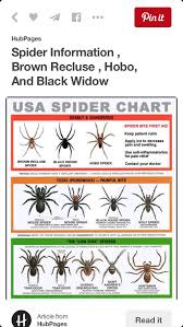Usa Spider Chart Helpful Stuff Spider Identification