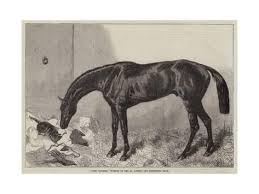 Lord Clifden Winner Of The St Leger Giclee Print Art Com Your Spirit Animal Thoroughbred Horse Giclee Print