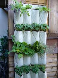 Hanging Pocket Shoe Store Into Vertical Vegetables Garden Gift Ideas Creative Spotting Hanging Herb Garden Hanging Herbs Vertical Herb Garden