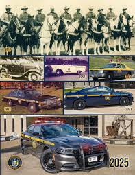 Image result for Dark Yellow Green 2016 Fleet