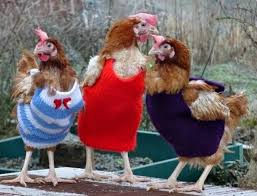 Knit chicken hat pattern by j9 tigger. Diy Knit Chicken Jumper Sweater Written Pattern Fab Art Diy