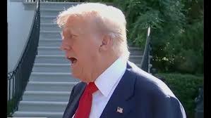 St John's Grotto, Utica New York