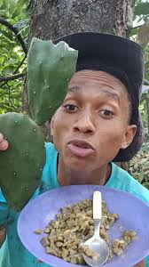 Receita deliciosa de cortado de Palma