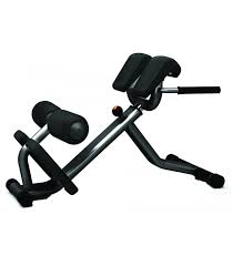Banc De Musculation Professionnel Lombaires Care Fitness