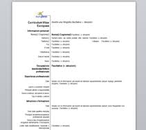 Troverei spiegato passo dopo passo su cosa scrivere ed includere nel cv. Modello Cv Italiano Download