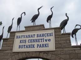 Darica Kus Cenneti Ve Temali Parki Gebze Kocaeli Darica Kus Cenneti Ve Temali Parki Nerede Darica Kus Cenneti Ve Temali Parki Hakkinda Darica Kus Cenneti Ve Temali Parki Neresi Darica Kus Cenneti Ve