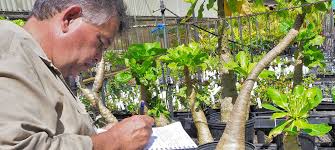 Maybe you would like to learn more about one of these? First Person The Inseparable Bond Between Hawaiian Culture And Native Plants Un News