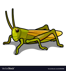 Green Grasshopper Isolated On A White Background Locusts Pests Of Agriculture Vector Cartoon Close Up Illu Green Grasshopper Cat Reading Cute Funny Cartoons