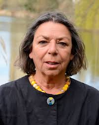 Handlungsstrategien in einer komplexen Welt