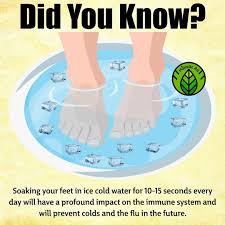 Pin By T B On Know It Health Facts Health And Fitness Articles Health
