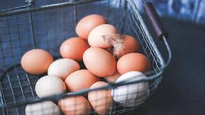 Telur ayam atau telur puyuh: Bocah Ini Coba Menetaskan Telur Dari Supermarket Hasilnya Mengejutkan Citizen6 Liputan6 Com