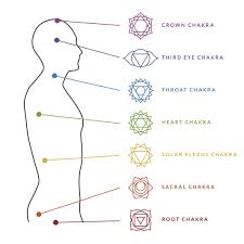 Image result for chakras