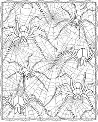 Download this adorable dog printable to delight your child. Get This Adult Halloween Coloring Pages Spider Web 6spw