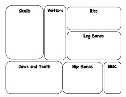 Free Printable Owl Pellet Bone Sorting Chart