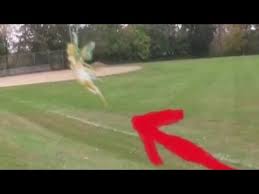 We did not find results for: Download 5 Penampakan Peri Asli Paling Menghebohkan Dunia Yang Tertangkap Kamera Mp4 Mp3 3gp Naijagreenmovies Fzmovies Netnaija