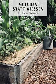 Gemüsebeet mulchen mit verschiedenen materialien. Richtig Mulchen Statt Giessen Mulchen Garten Bepflanzen Garten