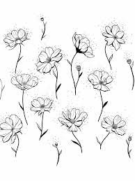 Lovely Cosmos Cosmos Tattoo Flower Drawing Floral Illustrations