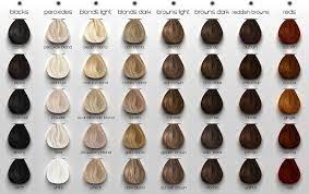 Identify the desired hair color level. Pin On Hairs