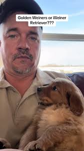 Bryan Wiener Discontinued