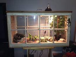 We did not find results for: New Lizard Home With Recycled Windows And Pallets Not Suitable For Tortoises But A Beautiful Concept Baby Bearded Dragon Bearded Dragon Bearded Dragon Care