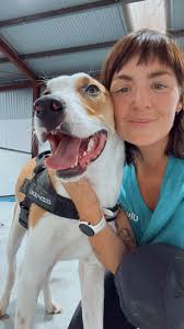 That luscious Loch Hart glow! Sundown at @lochhartmusicfestival is  something else 🌅 . . . . . #festival #musicfestival #justgoshoot  #livemusicphotography #livemusicphotographer #concertjunkie #gigphotography  #gigphotographer #visitgreatoceanroad ...