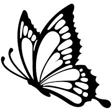 Free Free 280 Svg Side View Butterfly Silhouette SVG PNG EPS DXF File