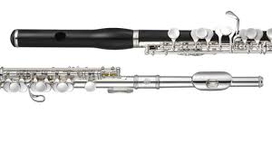 Piccolo helps practitioners observe a wide range of parenting behaviors that help children develop over time—an approach known as developmental parenting. Flute Jupiter Blasinstrumente